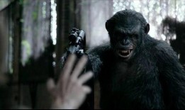 猿族崛起2在线观看,进化之战在线观影指南